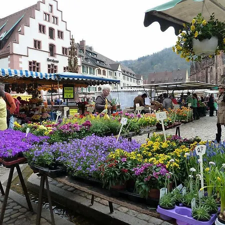 Bella Rosa Freiburg im Breisgau